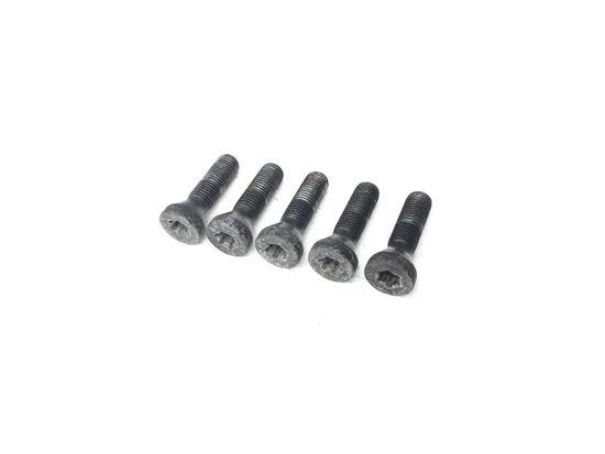 Lug Nuts 2007 BMW R1200GS 3149