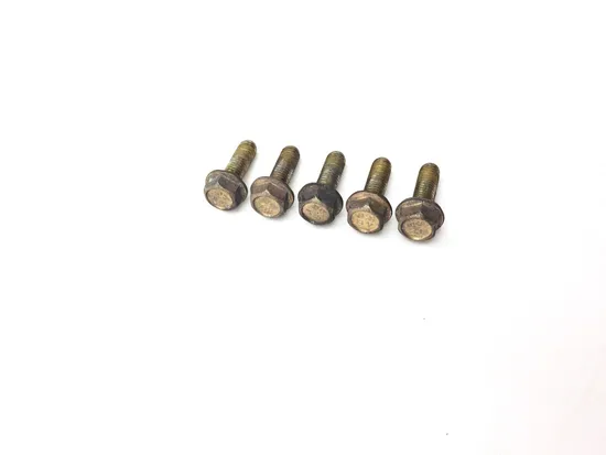 Rear Brake Rotor Disc Bolts 2012 Can-Am Spyder RT SM5 Audio Convenience 3118