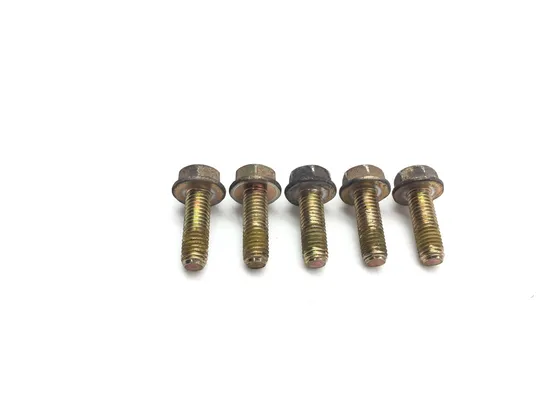 Rear Brake Rotor Disc Bolts 2012 Can-Am Spyder RT SM5 Audio Convenience 3118