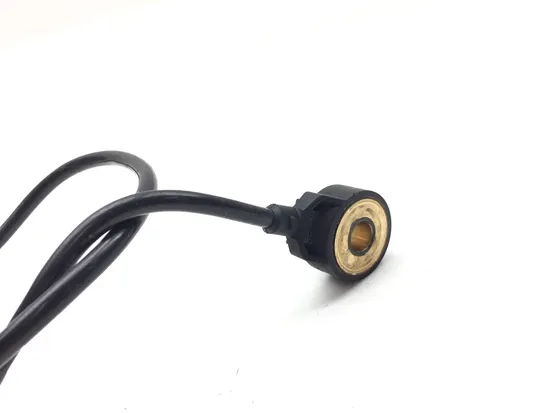 Knock Sensor 2012 Can-Am Spyder RT SM5 Audio Convenience 3118