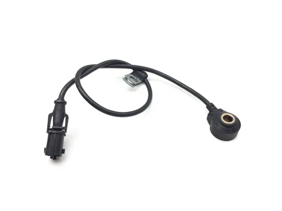 Knock Sensor 2012 Can-Am Spyder RT SM5 Audio Convenience 3118