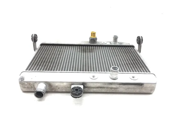 Engine Radiator Cooling 2011 Suzuki Burgman 400 AN400A ABS 3120 x