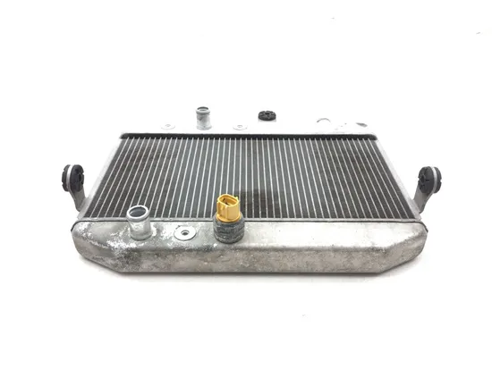 Engine Radiator Cooling 2011 Suzuki Burgman 400 AN400A ABS 3120 x