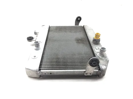 Engine Radiator Cooling 2011 Suzuki Burgman 400 AN400A ABS 3120 x