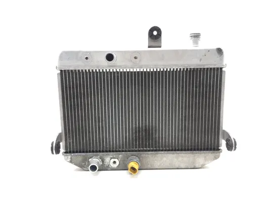 Engine Radiator Cooling 2011 Suzuki Burgman 400 AN400A ABS 3120 x