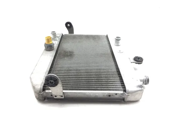 Engine Radiator Cooling 2011 Suzuki Burgman 400 AN400A ABS 3120 x