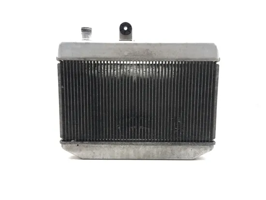 Engine Radiator Cooling 2011 Suzuki Burgman 400 AN400A ABS 3120 x