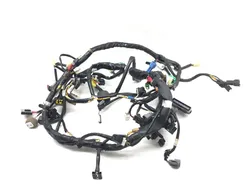 Main Engine Wiring Harness 2011 Suzuki Burgman 400 AN400A ABS 3120
