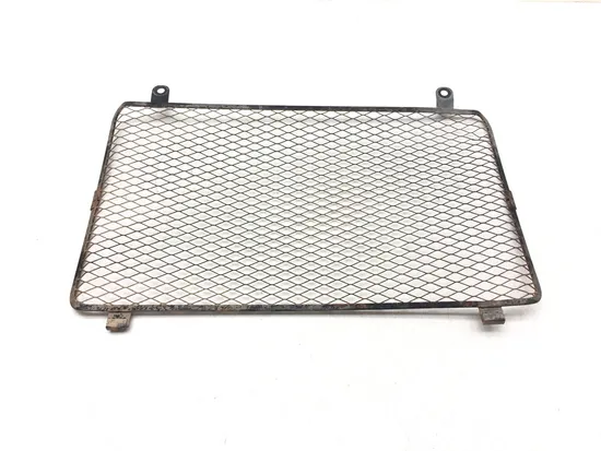 Engine Radiator Grill Guard 2005 Suzuki King Quad 700 LTA700X 4x4 3179