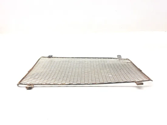 Engine Radiator Grill Guard 2005 Suzuki King Quad 700 LTA700X 4x4 3179