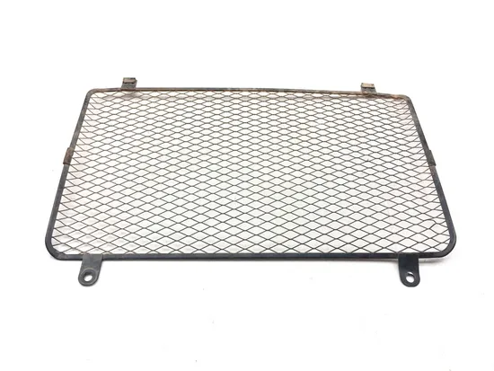 Engine Radiator Grill Guard 2005 Suzuki King Quad 700 LTA700X 4x4 3179