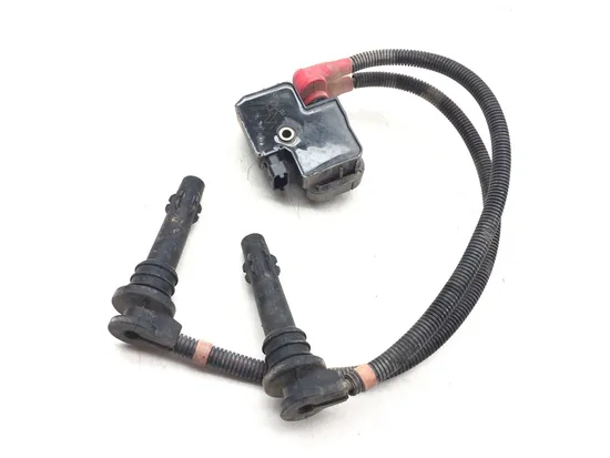 Ignition Coil 2011 Polaris RZR XP 900 3184