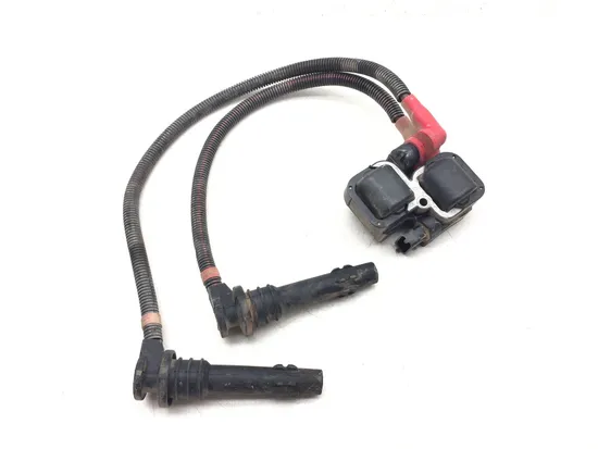 Ignition Coil 2011 Polaris RZR XP 900 3184