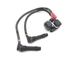 Ignition Coil 2011 Polaris RZR XP 900 3184