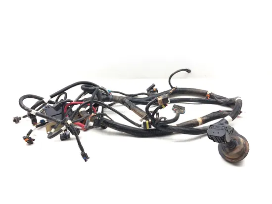 Main Engine Wiring Harness 2011 Polaris RZR XP 900 3184