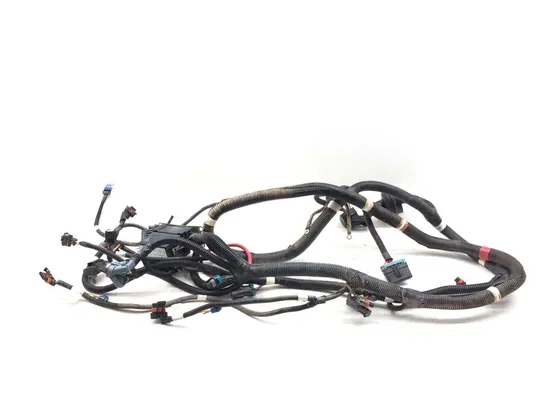 Main Engine Wiring Harness 2011 Polaris RZR XP 900 3184