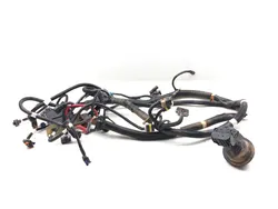 Main Engine Wiring Harness 2011 Polaris RZR XP 900 3184