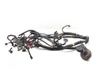 Main Engine Wiring Harness 2011 Polaris RZR XP 900 3184