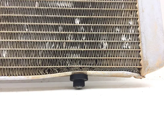 Engine Radiator Cooling 2010 Polaris RZR 4 800 Robby Gordon Edition 3188 x