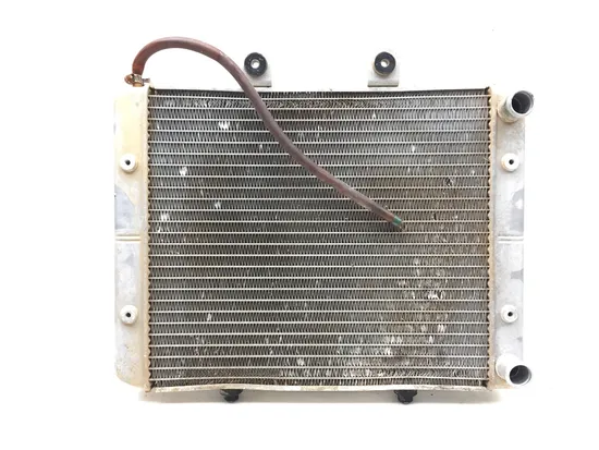 Engine Radiator Cooling 2010 Polaris RZR 4 800 Robby Gordon Edition 3188 x