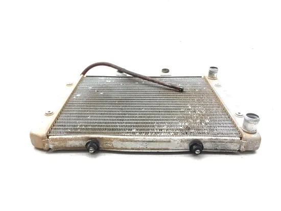 Engine Radiator Cooling 2010 Polaris RZR 4 800 Robby Gordon Edition 3188 x