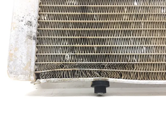 Engine Radiator Cooling 2010 Polaris RZR 4 800 Robby Gordon Edition 3188 x