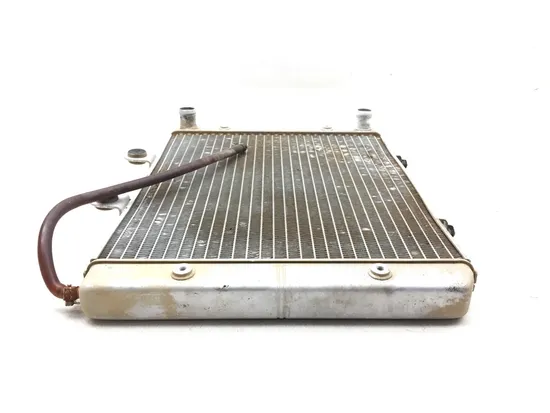 Engine Radiator Cooling 2010 Polaris RZR 4 800 Robby Gordon Edition 3188 x