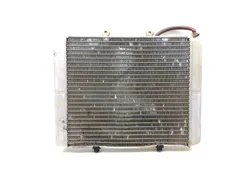 Engine Radiator Cooling 2010 Polaris RZR 4 800 Robby Gordon Edition 3188 x