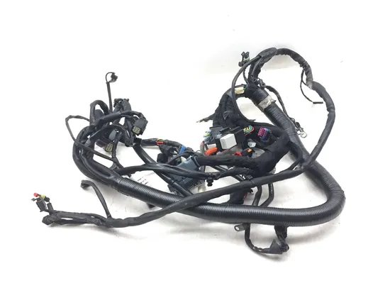 Main Engine Wiring Harness 2010 Harley-Davidson Dyna Wide Glide FXDWG 3186