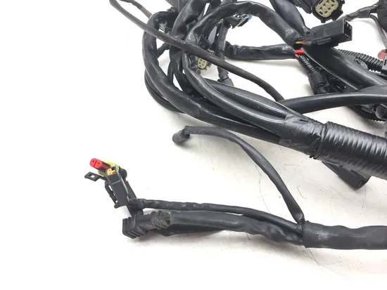 Main Engine Wiring Harness 2010 Harley-Davidson Dyna Wide Glide FXDWG 3186