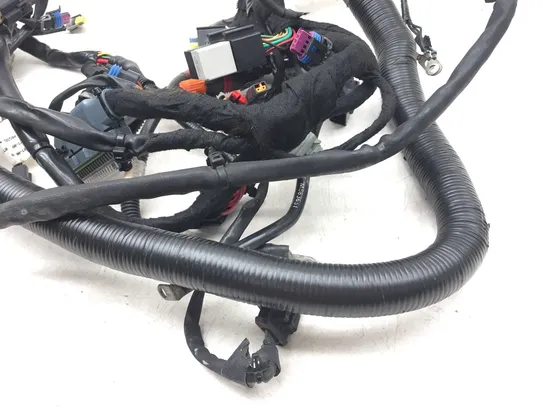 Main Engine Wiring Harness 2010 Harley-Davidson Dyna Wide Glide FXDWG 3186