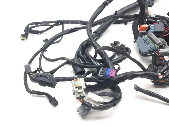 Main Engine Wiring Harness 2010 Harley-Davidson Dyna Wide Glide FXDWG 3186