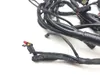 Main Engine Wiring Harness 2010 Harley-Davidson Dyna Wide Glide FXDWG 3186