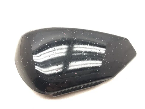 Left Side Cover 2004 Harley-Davidson Sportster 1200 Custom XL1200C 3187 x