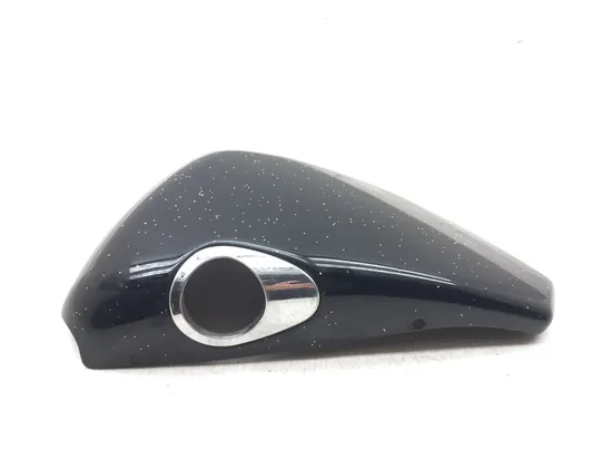 Right Side Cover 2004 Harley-Davidson Sportster 1200 Custom XL1200C 3187 x