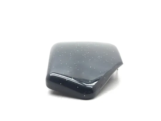 Right Side Cover 2004 Harley-Davidson Sportster 1200 Custom XL1200C 3187 x