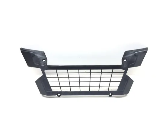 Engine Radiator Grill Guard 2018 Kawasaki Teryx4 800 KRT800 LE 3185