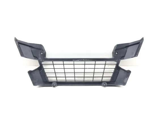 Engine Radiator Grill Guard 2018 Kawasaki Teryx4 800 KRT800 LE 3185