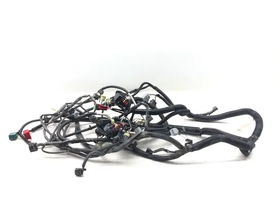 Main Engine Wiring Harness 2018 Kawasaki Teryx4 800 KRT800 LE 3185 5