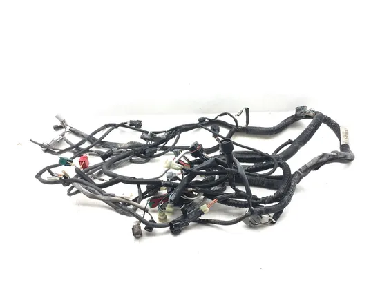 Main Engine Wiring Harness 2018 Kawasaki Teryx4 800 KRT800 LE 3185 1