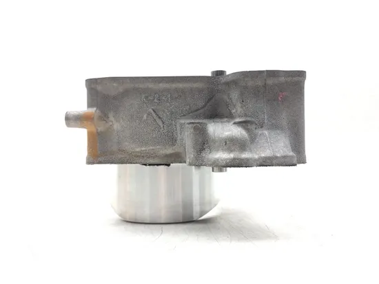 Engine Cylinder Jug W Piston Front 2018 Kawasaki Teryx4 800 KRT800 LE 3185