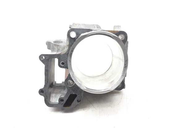 Engine Cylinder Jug W Piston Front 2018 Kawasaki Teryx4 800 KRT800 LE 3185