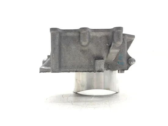 Engine Cylinder Jug W Piston Rear 2018 Kawasaki Teryx4 800 KRT800 LE 3185