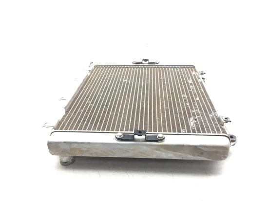 Engine Radiator Cooling 2018 Kawasaki Teryx4 800 KRT800 LE 3185 x