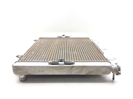 Engine Radiator Cooling 2018 Kawasaki Teryx4 800 KRT800 LE 3185 x