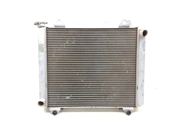 Engine Radiator Cooling 2018 Kawasaki Teryx4 800 KRT800 LE 3185 x