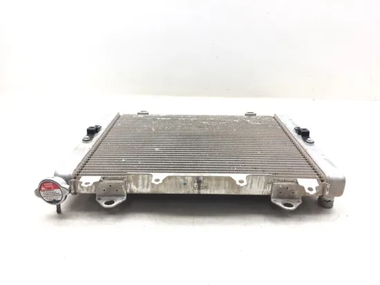 Engine Radiator Cooling 2018 Kawasaki Teryx4 800 KRT800 LE 3185 x