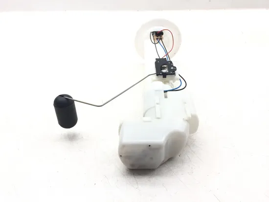 Gas Fuel Tank Pump 2018 Kawasaki Teryx4 800 KRT800 LE 3185