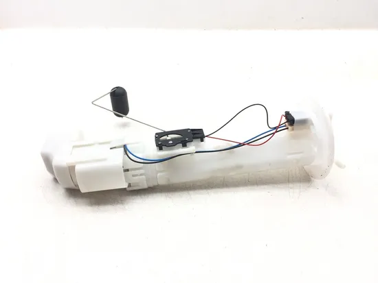 Gas Fuel Tank Pump 2018 Kawasaki Teryx4 800 KRT800 LE 3185