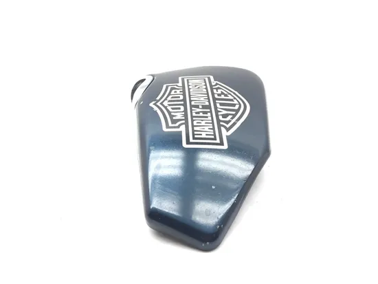 Right Side Cover 2004 Harley-Davidson Sportster 883 Custom XL883C 3191 x